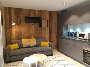 Appartement rénové au cœur de Morzine, 100m des pistes, balcon, 4 pers, wifi - FR-1-754-84